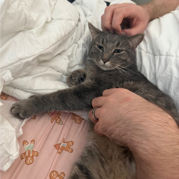 Meet your Posher, Laura - Picture 1 of 1